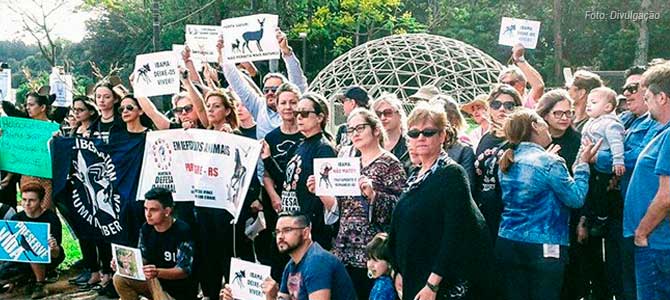 Pampas Safari: ainda sem solução, caso segue e ativistas fecham rodovia em frente ao parque