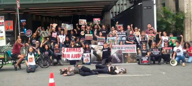 14/06 | Ao menos 10 cidades terão protestos pelo fim da exportação de animais vivos para abate 14/06 | Ao menos 10 cidades terão protestos pelo fim da exportação de animais vivos para abate