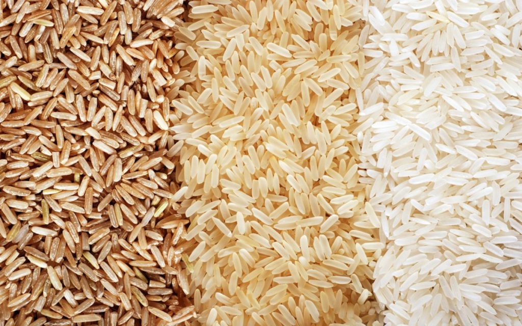 Proteína de arroz está em ascensão graças ao veganismo