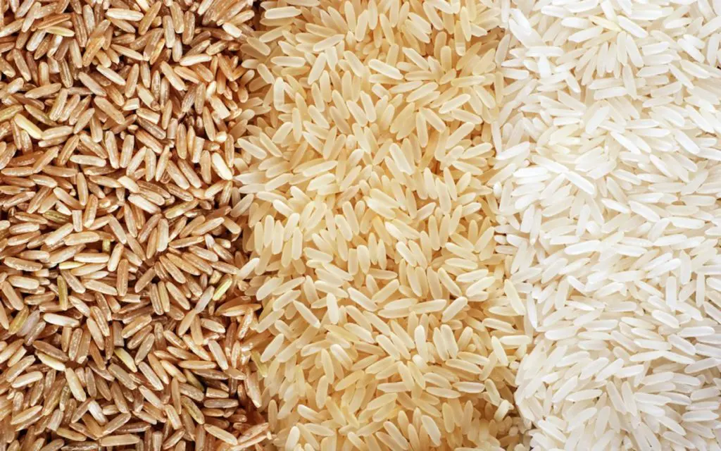 Proteína de arroz está em ascensão graças ao veganismo Proteína de arroz está em ascensão graças ao veganismo