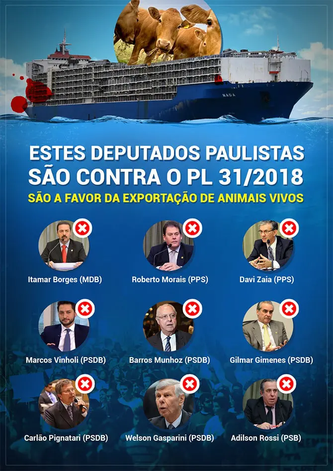 PL 31 tem votação adiada de novo: conheça os deputados que são contra a aprovação do projeto PL 31 tem votação adiada de novo: conheça os deputados que são contra a aprovação do projeto