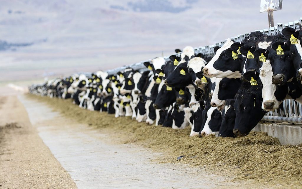 Quase 60 fazendas de leite em Indiana fecharam desde o início de 2018.