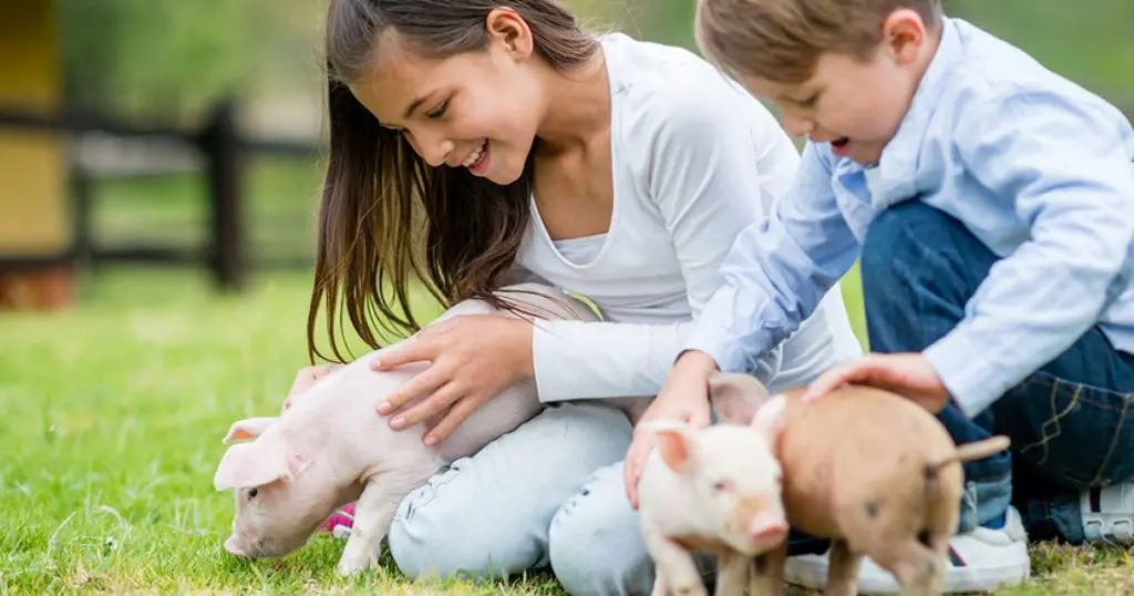 5 coisas para responder quando te dizem para salvar crianças ao invés de animais 5 coisas para responder quando te dizem para salvar crianças ao invés de animais