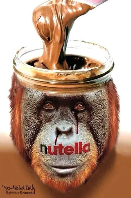 Nutella é responsável por desmatamento e morte de orangotangos Nutella é responsável por desmatamento e morte de orangotangos