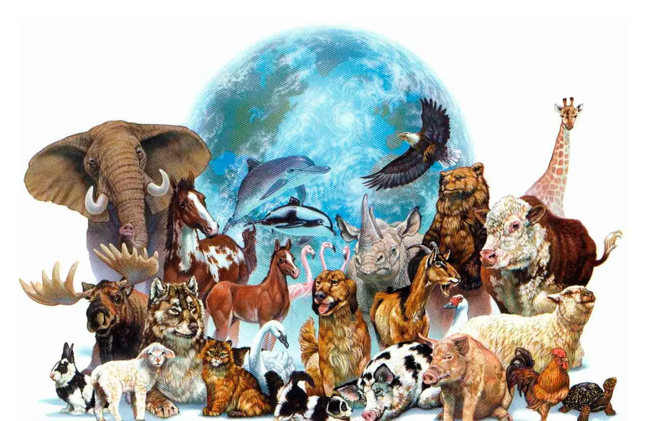 Declaração Universal dos Direitos dos Animais Declaração Universal dos Direitos dos Animais