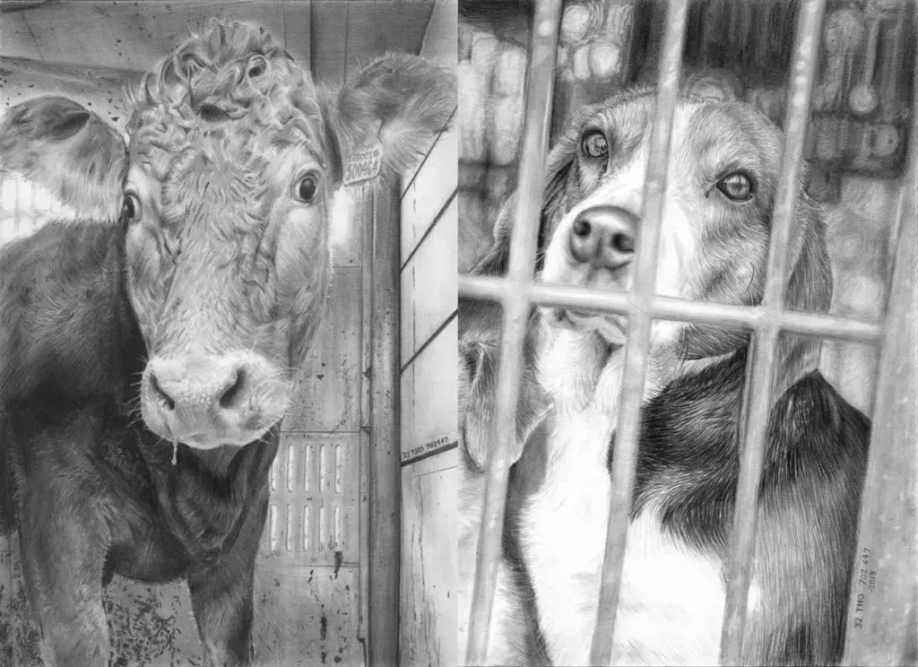 Artista inglês registra expressões dos animais que matamos Artista inglês registra expressões dos animais que matamos