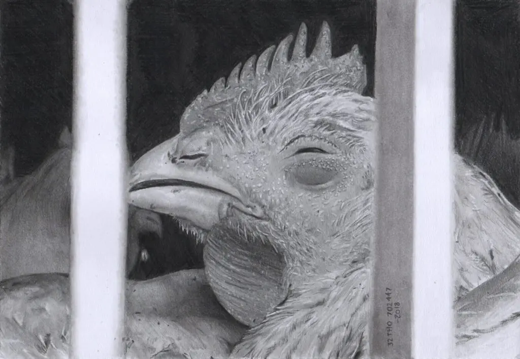 Artista inglês registra expressões dos animais que matamos Artista inglês registra expressões dos animais que matamos